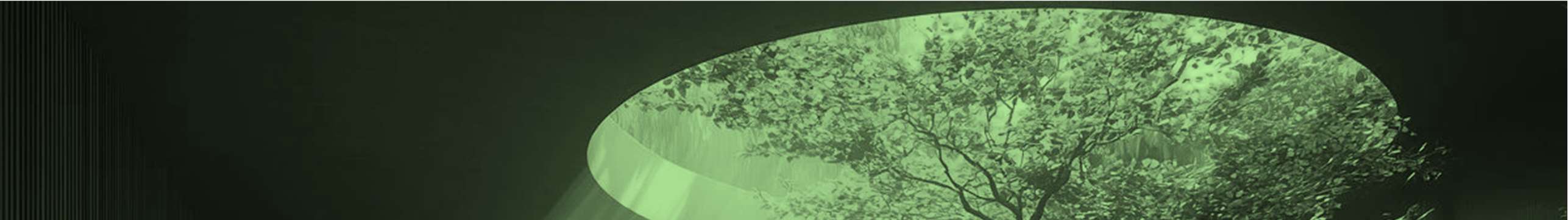 Concept — circular oculus flooding an indoor forest with light.
