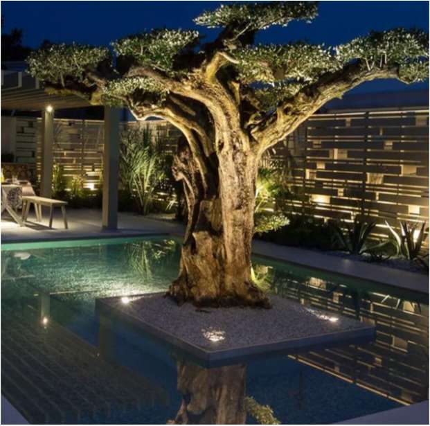 Tree island in pool illuminated at night.