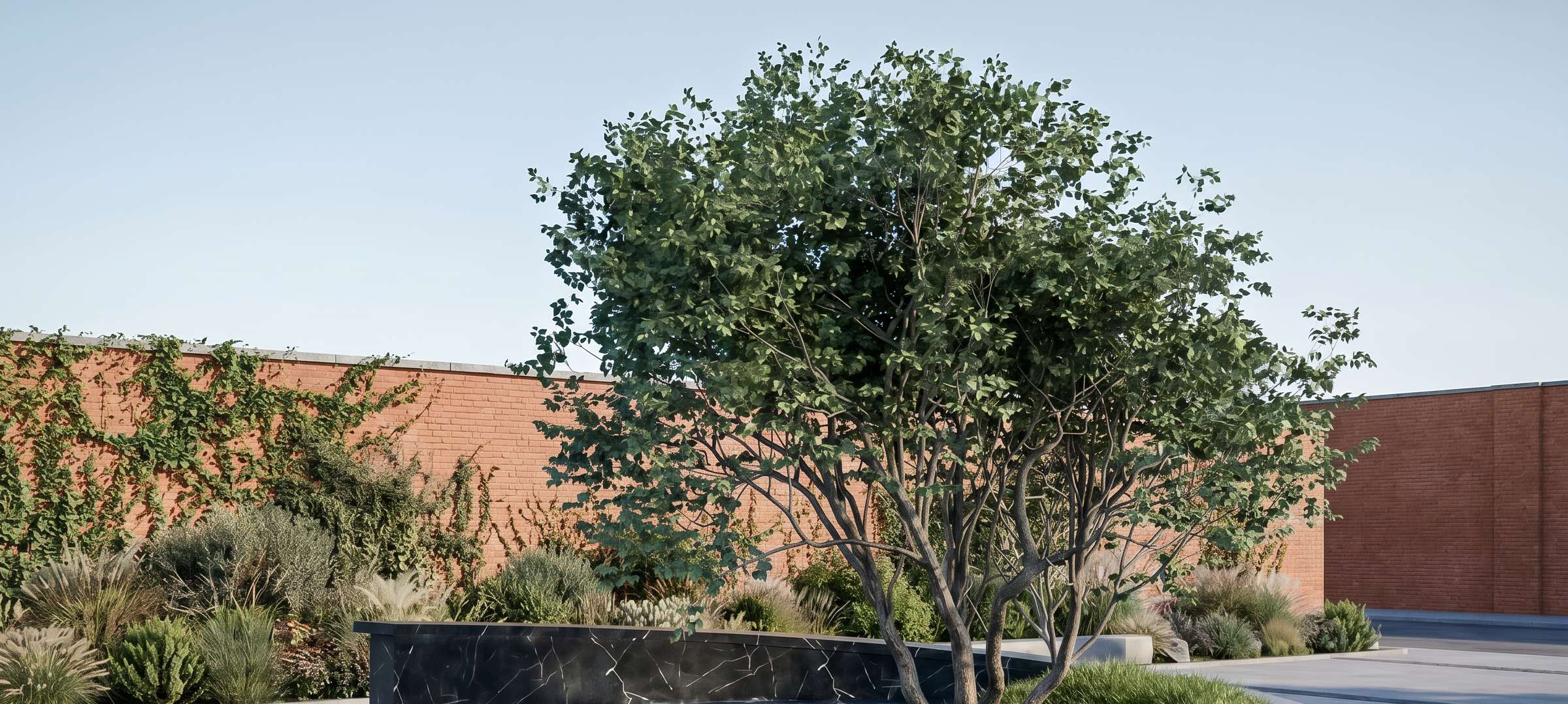 The iconic banyan tree — a living landmark at the end of the pool deck.